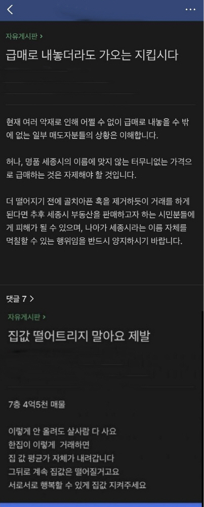 세종시급매