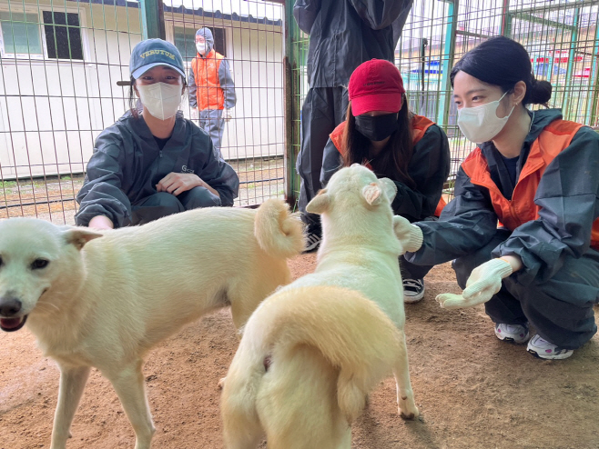 KakaoTalk_20220721_113209288
