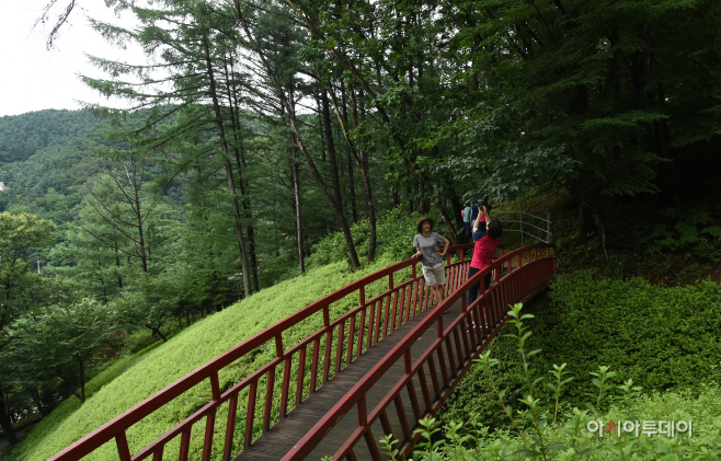 DSC_6927 사본