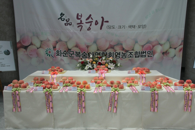 화순군