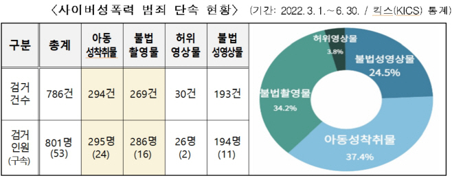 사이버성폭력