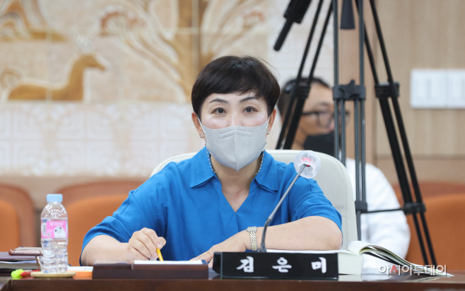 질의하는 홍성군의회 김은미 의원(국민의힘)
