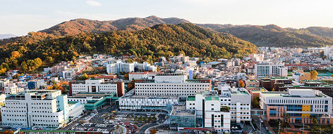 충남대학교병원 전경