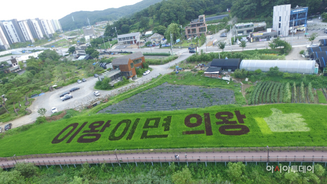 3.(사진)벼아트(학의)