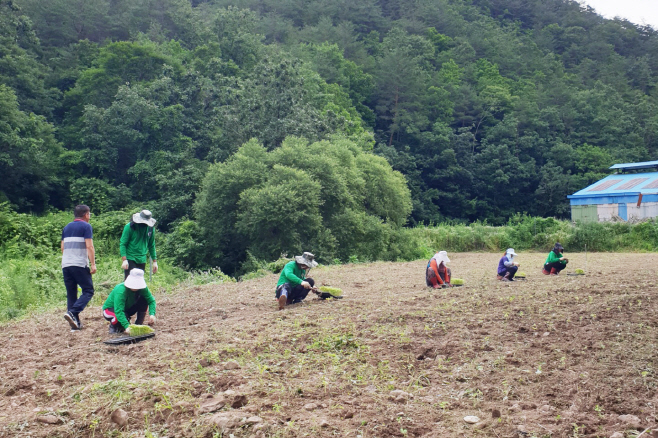 청송군, 외국인 계절근로자 관리 철저