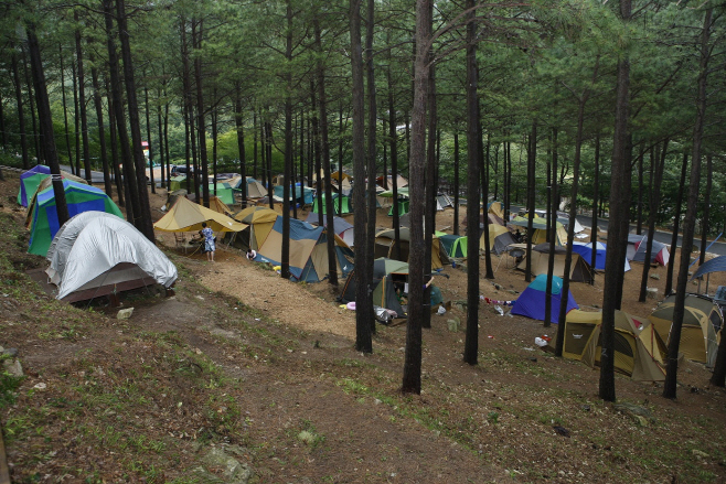 전남도