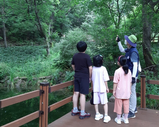 야생화단지