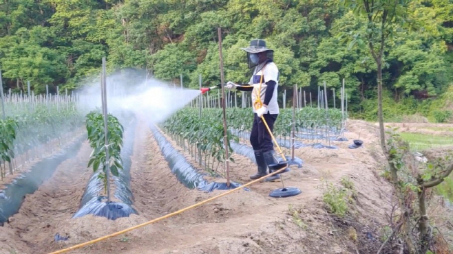 전남농기원