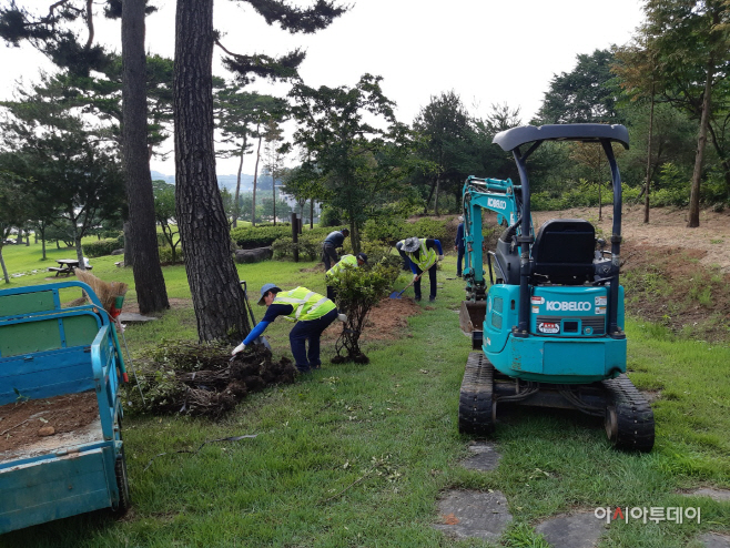 예산군 추사고택, 고즈넉한 고택 조성 위한 나무 보식작업 완료