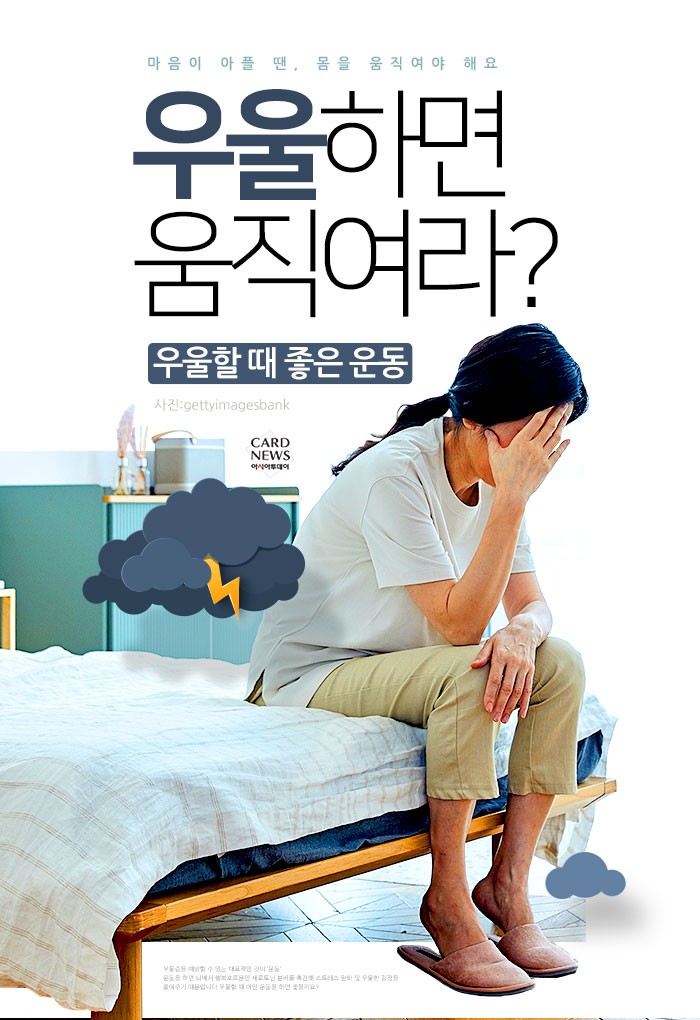 카드 뉴스 이미지