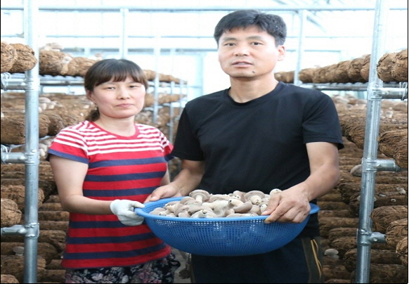 강진군