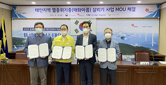 금강