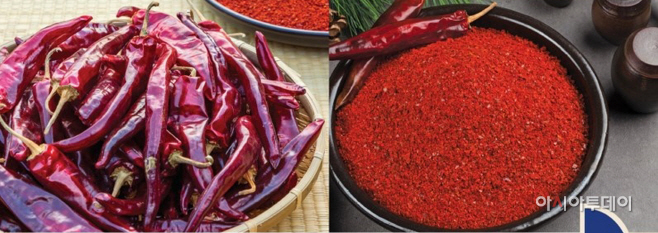 청양군, 2022 축제장 고추 거래 가격 결정