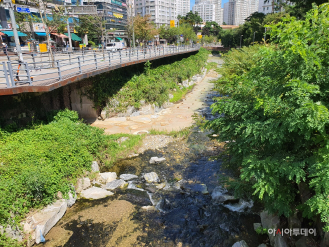 성복천 오염