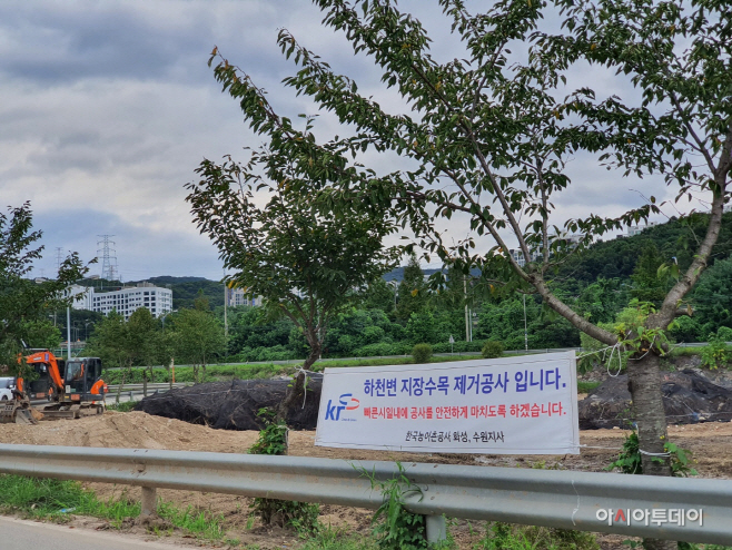 고기저수지