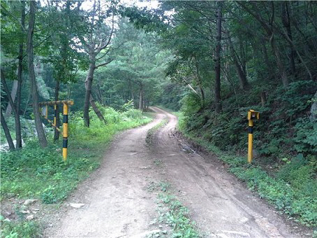 임도전경