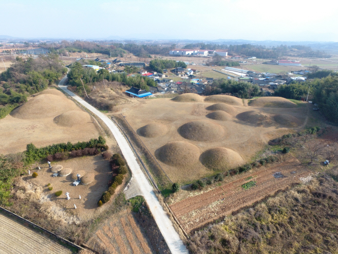 전남도