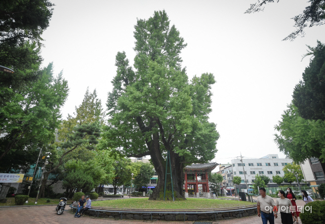 DSC_6528 사본