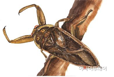 물장군