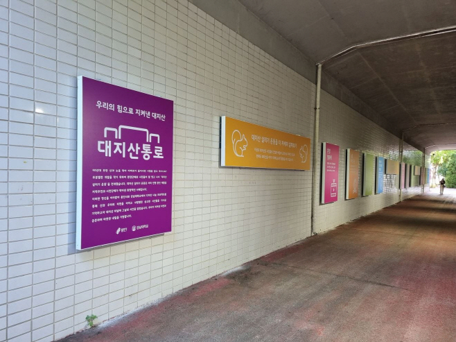 대지산통로 보행로