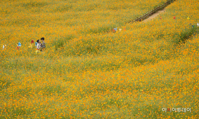 DSC_7738 사본