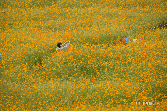 DSC_7214