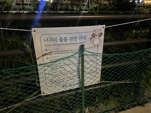 도봉구 우이천 너구리 출현 안내 게시판