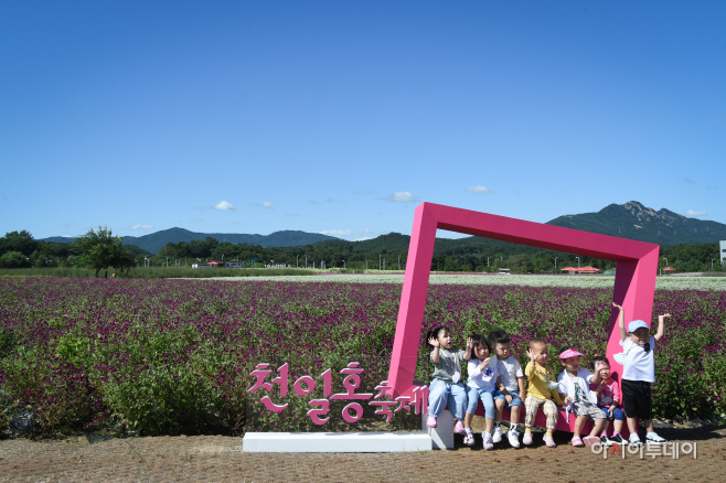DSC_9554 사본