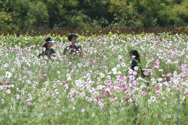 DSC_0067 사본