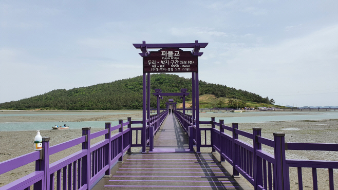 전남도