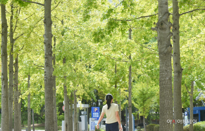 DSC_0269