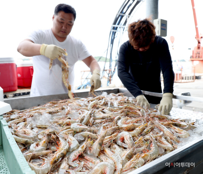 맛도 가격도 ‘역대급’ 태안 안면도 대하축제 3년 만에 다시