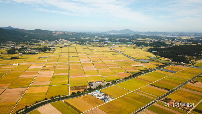 DJI_0006 사본