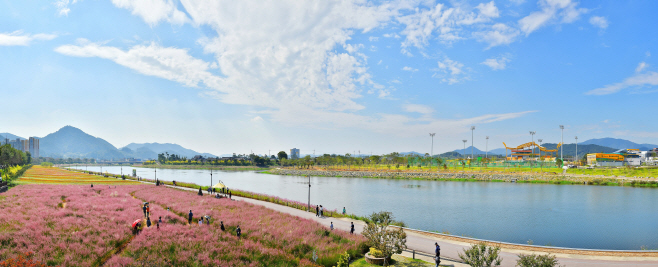 8일 열리는 '장성 황룡강 가을꽃축제'