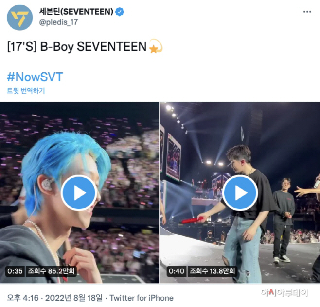 트위터 세븐틴