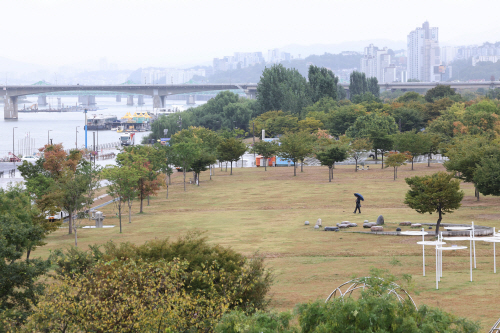 불꽃축제 다음날 한강공원은