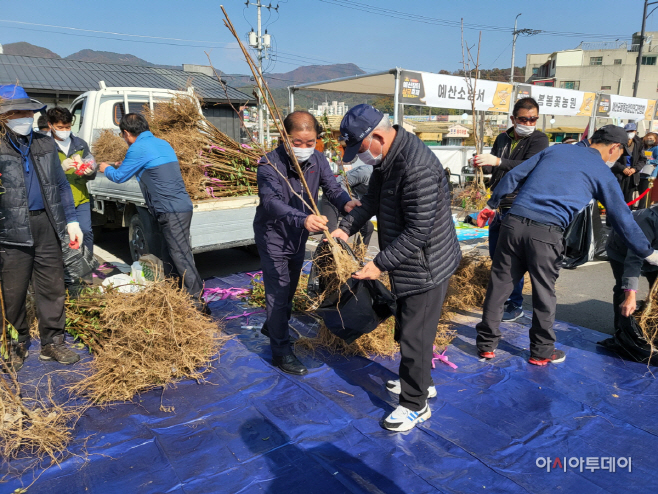 예산군, 예산장터 삼국축제에서 나무 나눠주기 행사 추진
