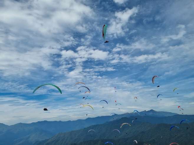 clip20221013083107
