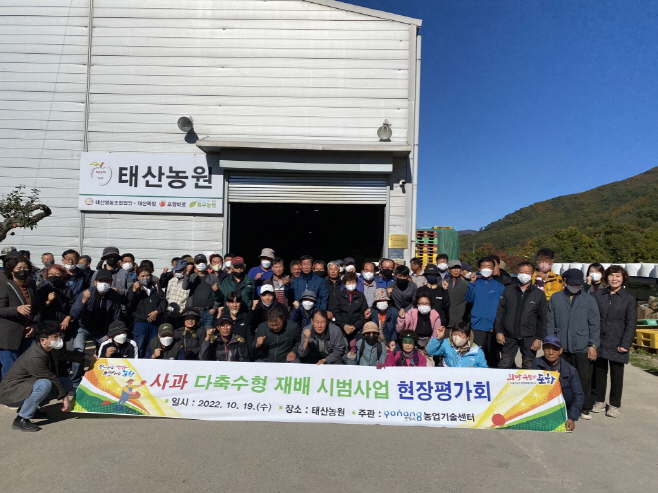 221019 포항시, 다축수형 재배 기술로 미래형 사과 재배 중심지