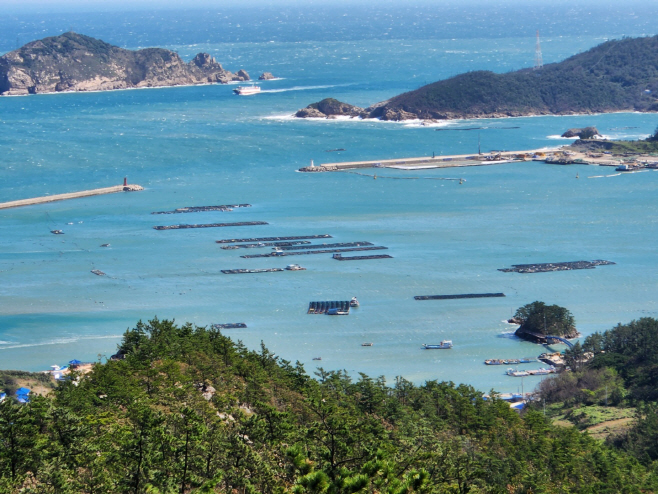 흑산도 양식시설 철거