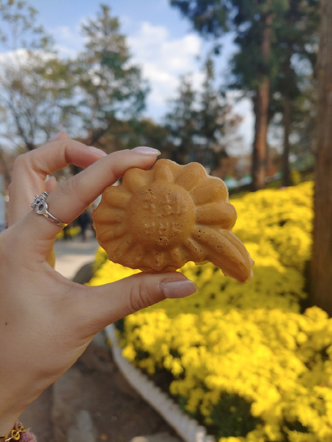 화순 국화빵