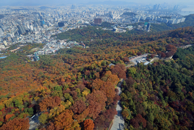 가을색의 향연<YONHAP NO-3598>