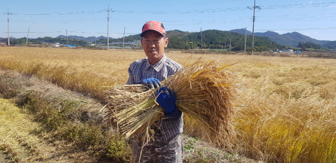 해남군