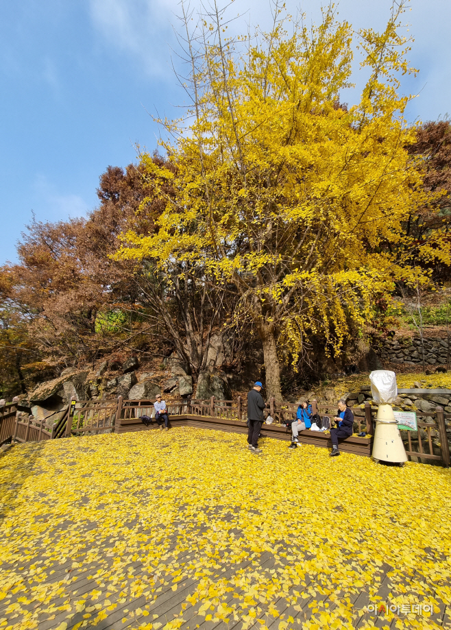 KakaoTalk_20221101_143348310_07