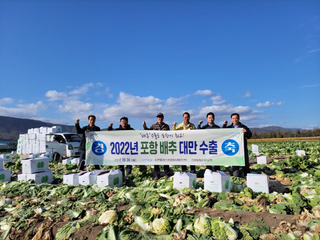 올해 첫 대만 수출길에 오르는 포항 가을배추/제공=포항시