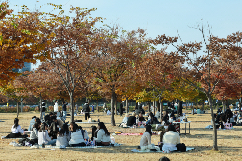 단풍과 함께 나들이<YONHAP NO-3658>