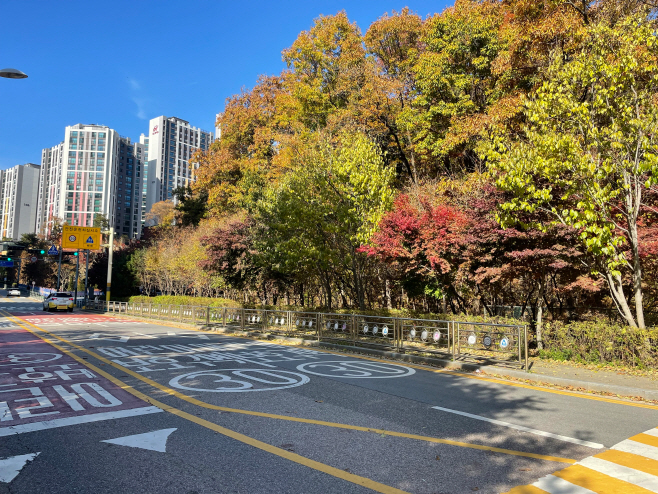 신봉동 도서관