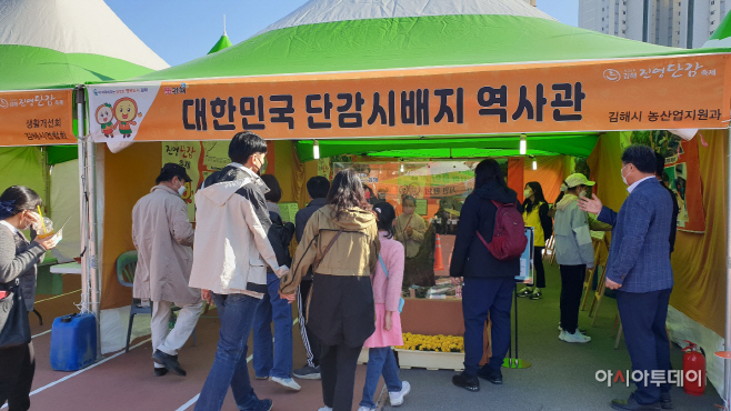 진영단감