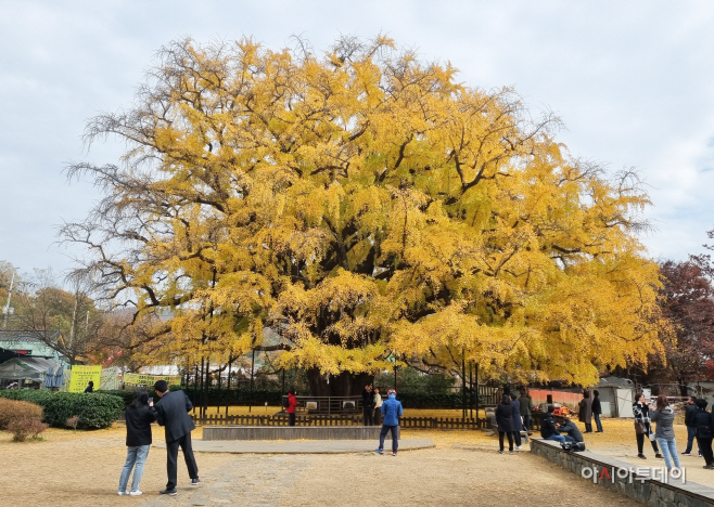 KakaoTalk_20221107_123328839_28