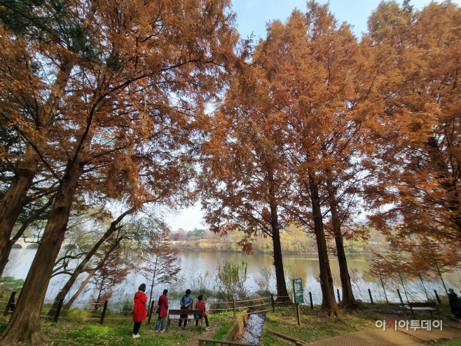 KakaoTalk_20221109_134459788_03